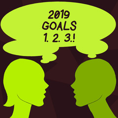 Handwriting text 2019 Goals 1 2 3. Conceptual photo Resolution Organize Beginnings Future Plans