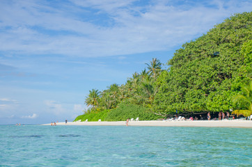 Landscape tropical trees against the background of turquoise water of the ocean