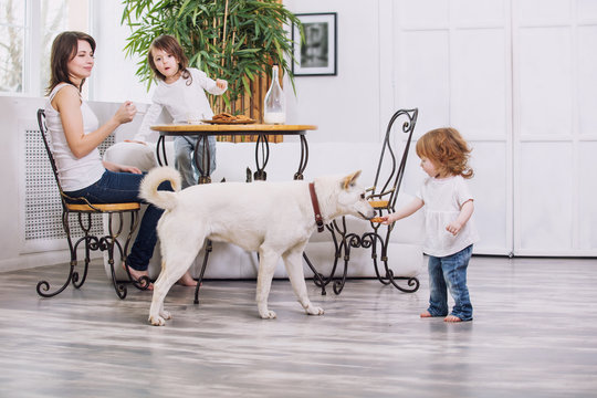 Little Kids Girls Are Beautiful And Cute With Mother And Pet Dog At Home Together Eating Cookies With Milk