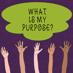 Conceptual hand writing showing What Is My Purposequestion. Concept meaning Direction Importance Discernment Reflection