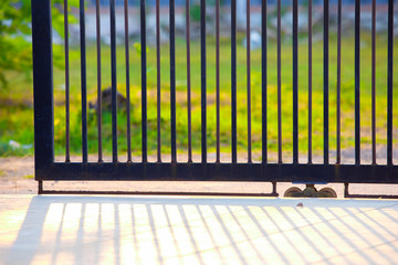 A gate of a house in the morning,fence iron, metal fence,shadows of metal fence,Metal black gate 
