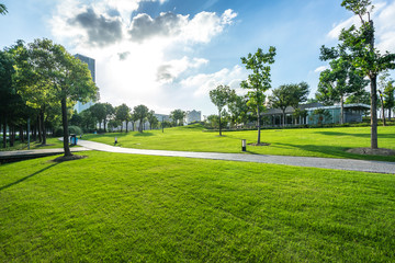 golf course in the park