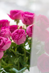 Pink roses on the windowsill