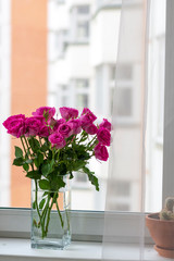 Pink roses on the windowsill