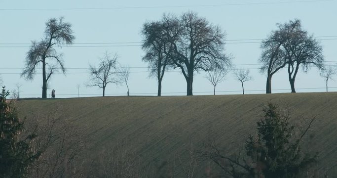 Spazierg&auml;nger auf Allee flimmernde Luft 4k DCI 50p