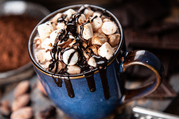 Cup of hot chocolate with marshmallows