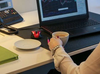 woman working with laptop in office.turkey 
