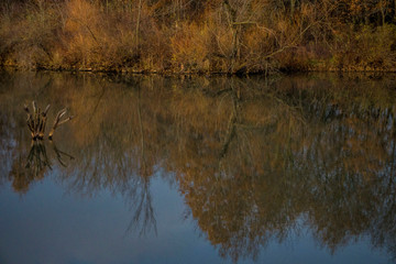 reflection of autumn trees in the water