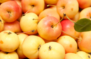 Ripe apples as background