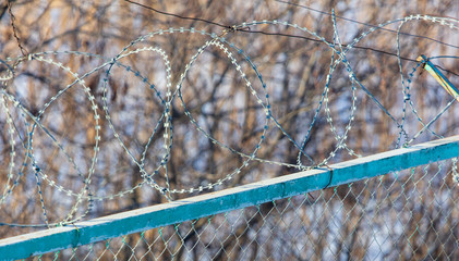 Barbed wire on the fence
