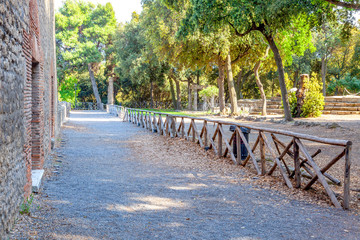 The city of Pompeii buried under a layer of ash by the volcano Mount Vesuvius