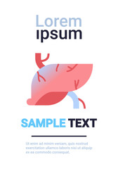 Obraz premium liver icon human body organ anatomy healthcare medical concept infographic template vertical copy space white background