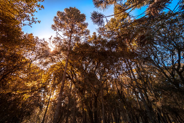 Landscape and Nature
