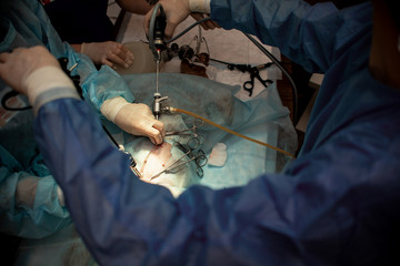 The dog on the operating table. Castration of the animal. Doctor operates a pet
