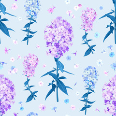 Flox flower seamless pattern