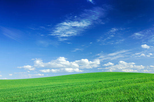 Idyllic view, green field and the blue sky with white clouds