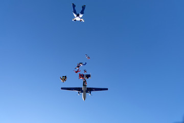 Skydivers are in the blue sky.