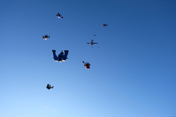 Naklejka na ściany i meble Skydivers are in the blue sky.