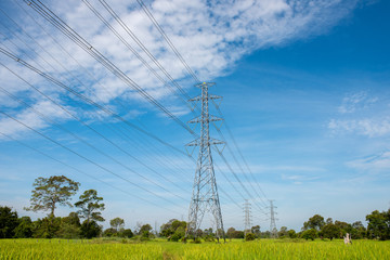 High-voltage tower on green rice field , Thiland © fototrips