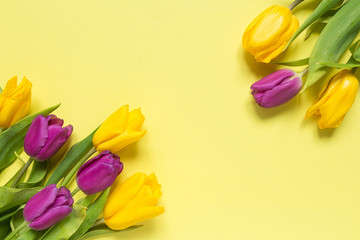Yellow and purple flowers tulips in a bouquet on a yellow background, a festive spring background greeting card
