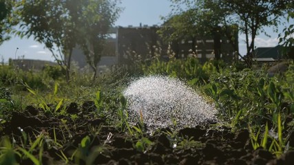 Sparkling water streaming from a shower head on green vegetables in slo-mo