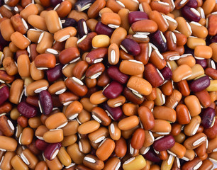 Mixed Beans Background