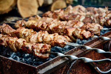 Cooking meat strung on a skewer in a barbecue in the heat of the smoldering hive. Selective focus. Close-up. Toasted pieces of meat look very appetizing on skewers.