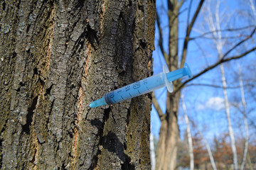 Medical syringe sticking out of a tree in nature.