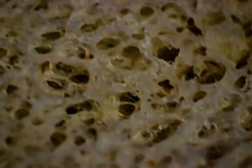 Close-up of a baked item