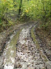 Obraz premium Wrzelowiecki Park Krajobrazowy