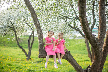 Naklejka na ściany i meble Outdoor portrait of two cheerful pretty girls playing in summer green garden in blossom. Childhood, summer, children games concept