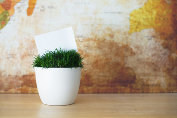 The Green Flower in White Pot with White Small Paper as Place for Your Text.