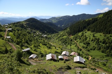 Obraz premium flowering meadows and village landscapes.savsat/artvin/turkey