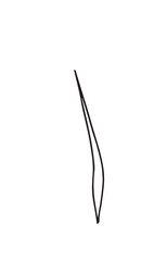 Hand-drawn sketch of a plant, isolated on white background. Abstract summer Vector illustration.