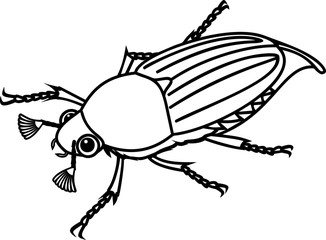 Coloring page with male cockchafer or May bug isolated on white background