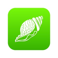 Nature shell icon. Simple illustration of nature shell vector icon for web