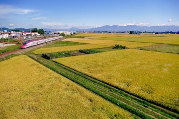 《秋田新幹線の風景》秋田県大仙市