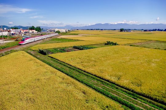 《秋田新幹線の風景》秋田県大仙市