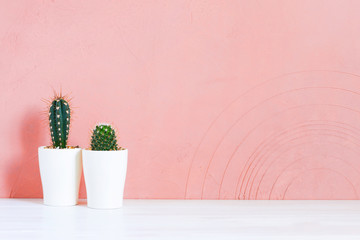 Background with two small cactuses on the wooden table