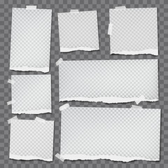 Set of torn note, notebook paper strips with squared pattern stuck with sticky tape on squared grey background. Vector illustration