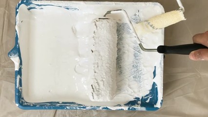White Color paint roller brush