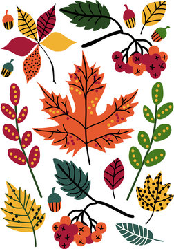 Colorful Autumn Leaves and Berries, Floral Seamless Pattern, Seasonal Decor Vector Illustration