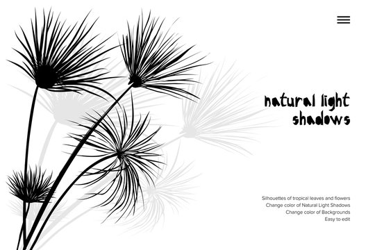 Abstract banner with black tropical leaves shadow isolated on white background. Vintage style Presentation template