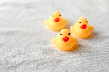 Row of yellow ducks on white background. baby Flat lay. Leadership and following concept
