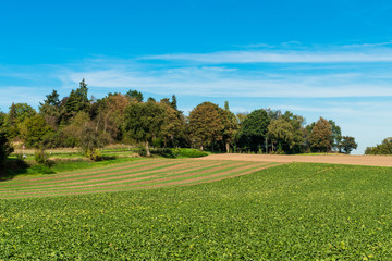 countryside around a farm