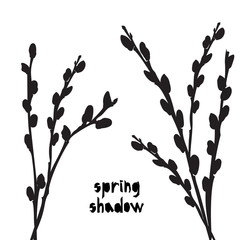Pattern with black pussy willow silhouette shadow isolated on white background. Vintage fabric textile, fashion summer print design, exotic poster © zzayko