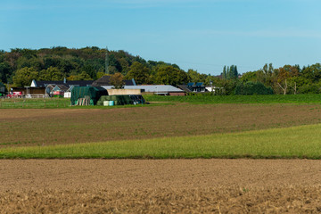 Fototapeta na wymiar rural landscape. field and grass