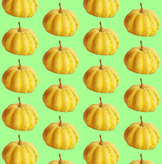 Orange Pumpkins patterned