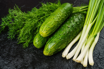 Fresh green cucumber  on black background