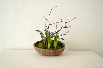arrangement of muscari and branches in a recycled paper plate